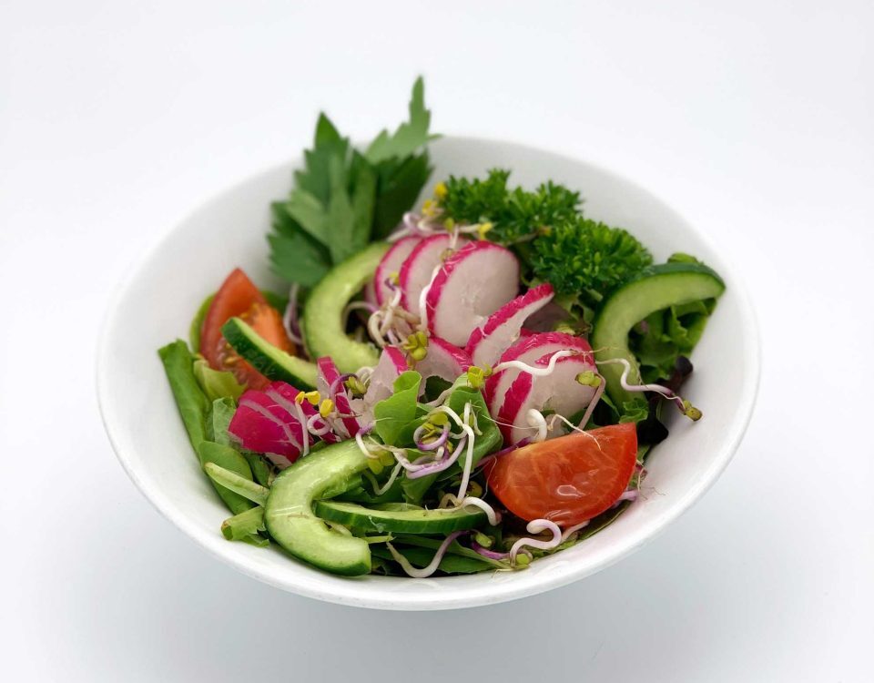 Gartensalat mit Tomaten, Radieschen, Gurken, und Sprossen